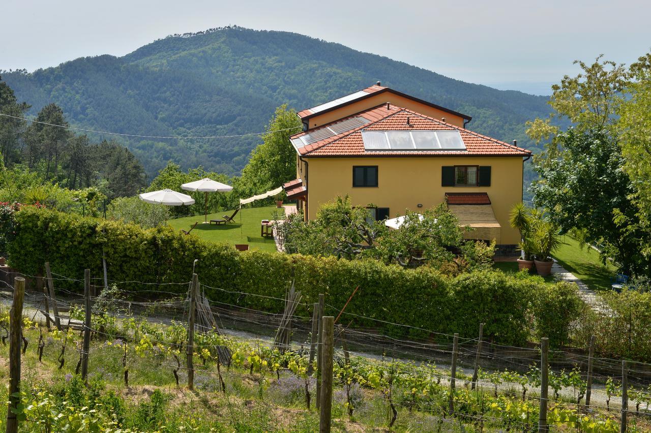 Il Laghello Di Amina Villa Framura Kültér fotó