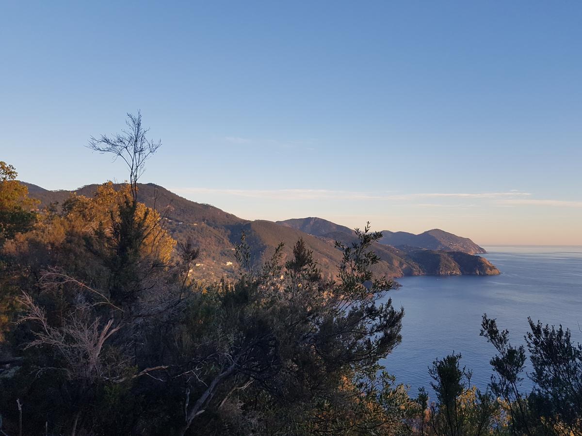 Il Laghello Di Amina Villa Framura Kültér fotó