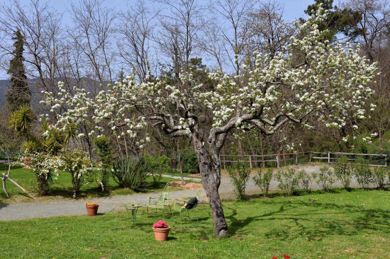 Il Laghello Di Amina Villa Framura Kültér fotó